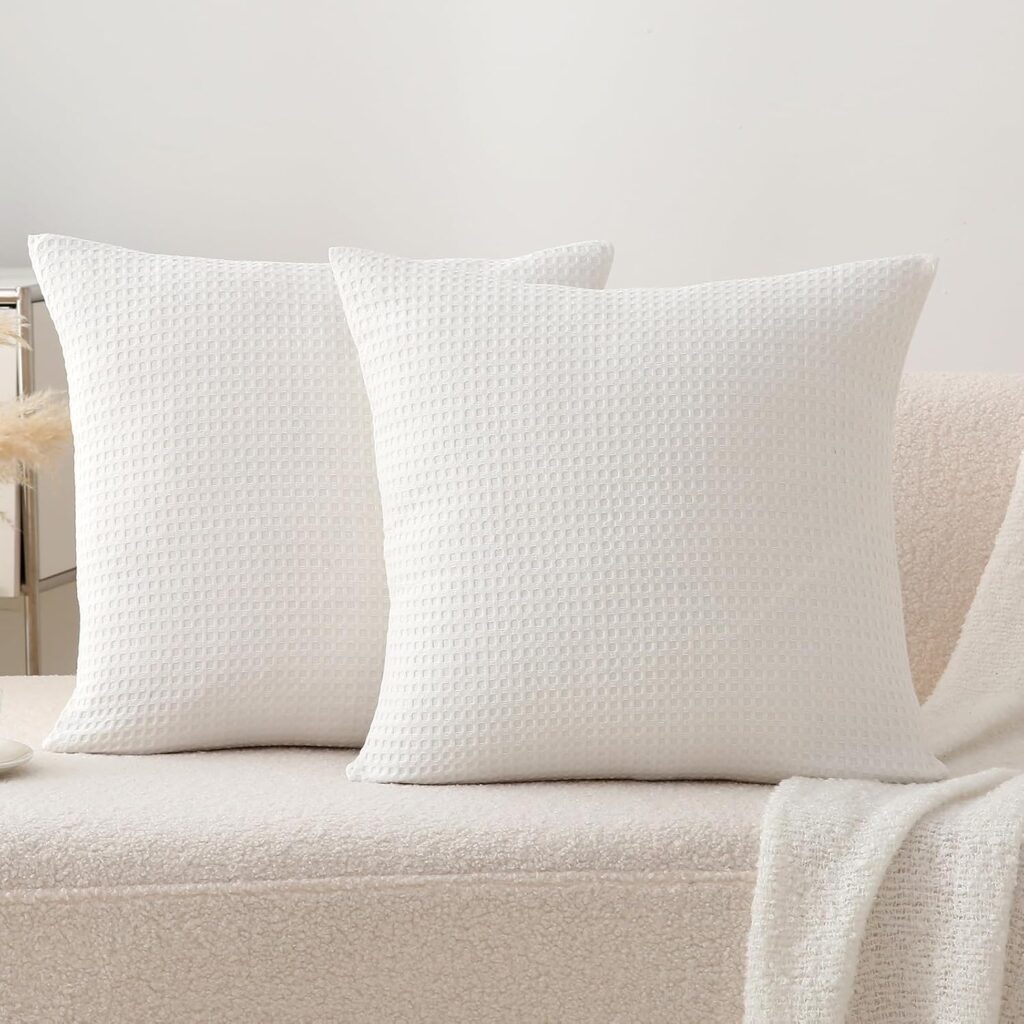 Best Throw Pillow