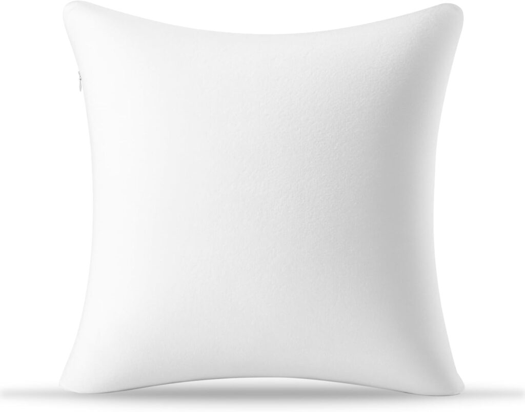 Best Throw Pillow