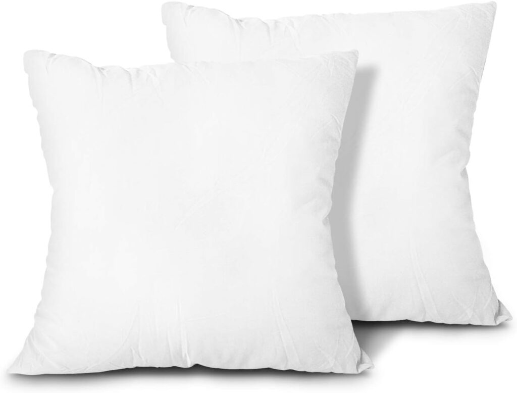 Best Throw Pillow