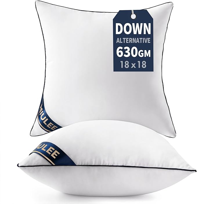 Best Throw Pillow