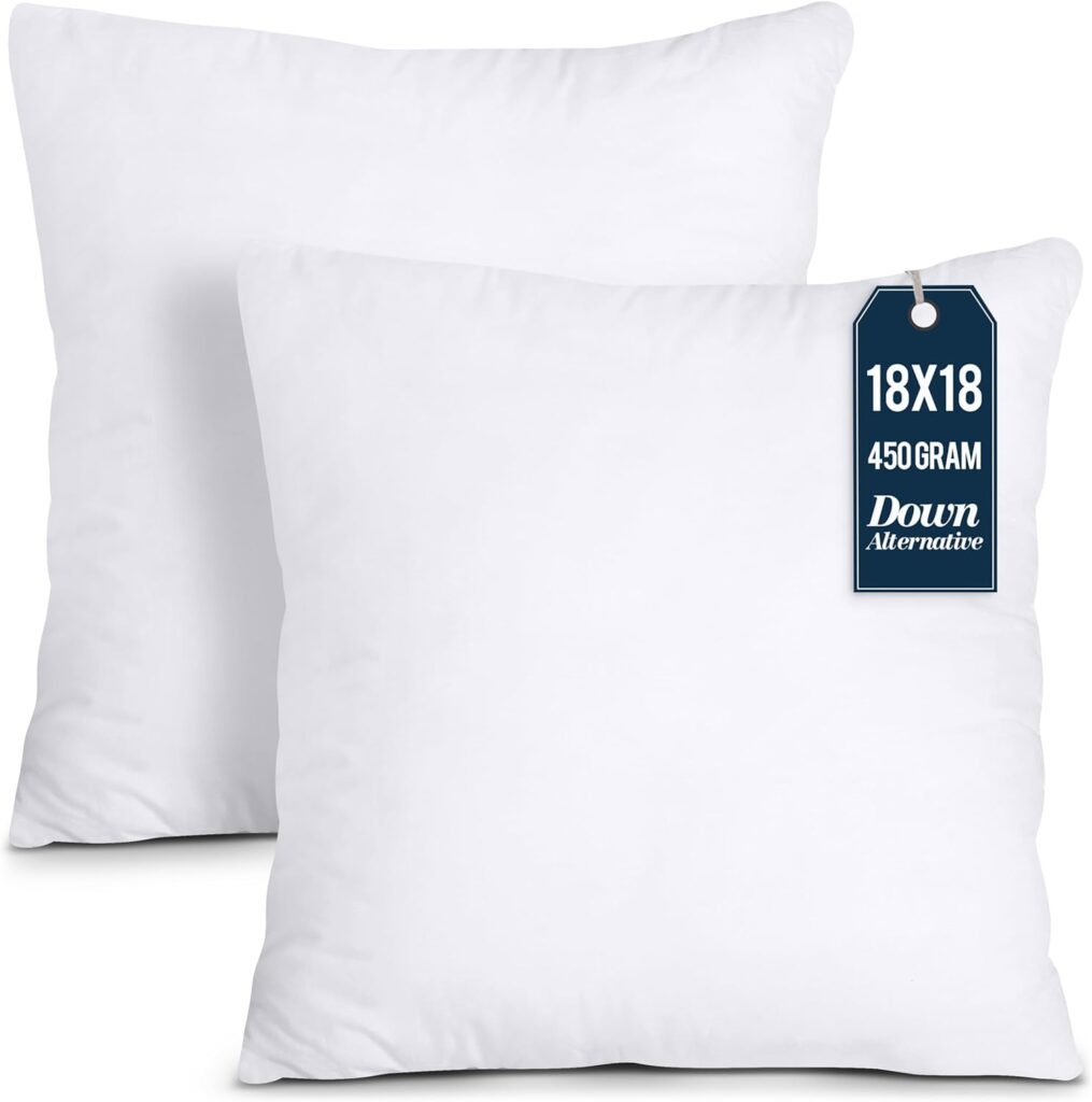 Best Throw Pillow